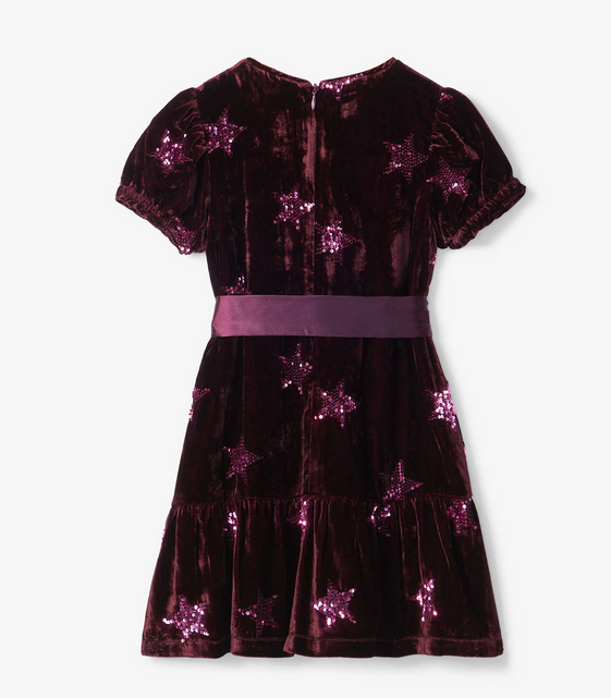 Pink Star Velvet Dress F23PSK1760